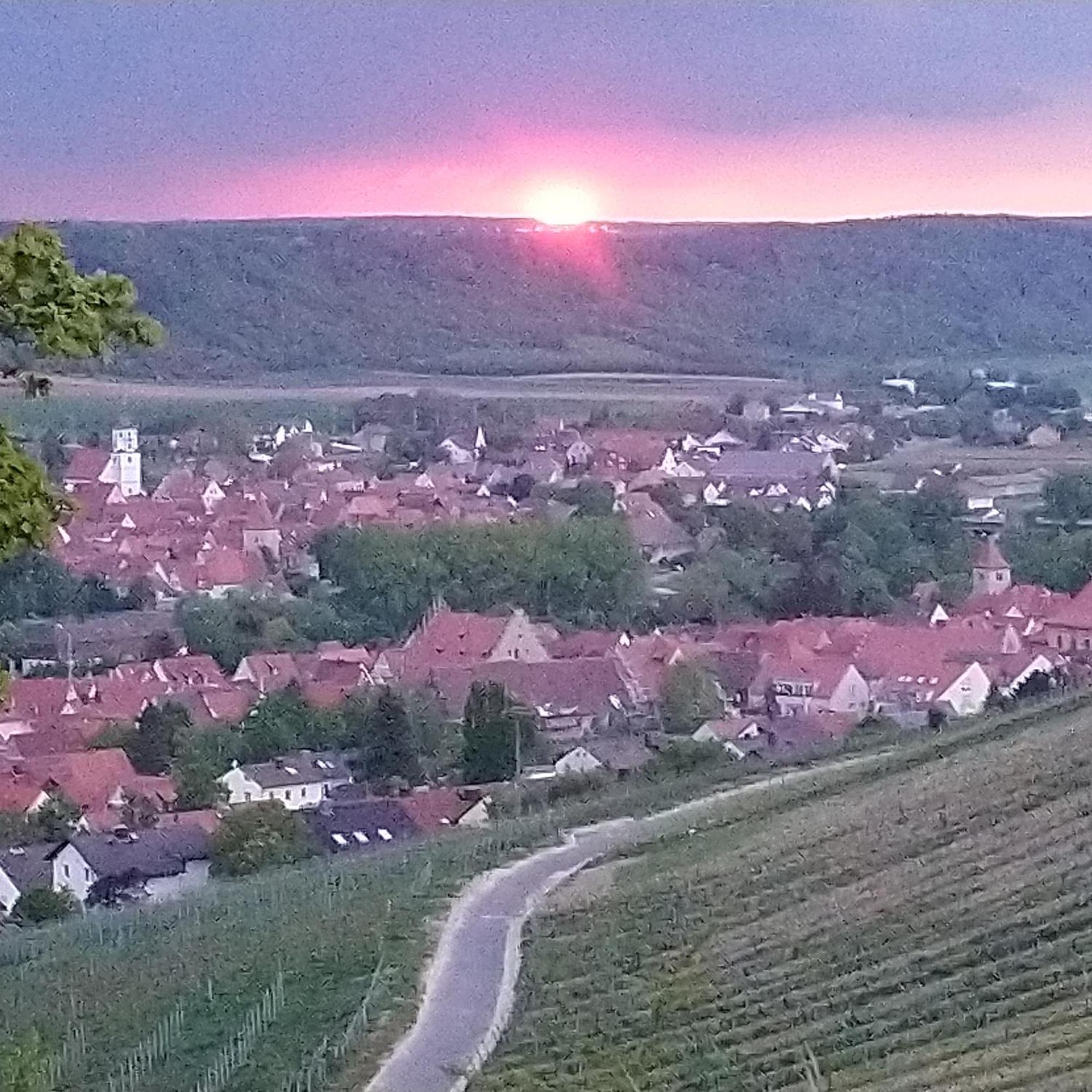 Kirschberghof Gaestehaus Und Weinverkauf Sommerhausen Extérieur photo