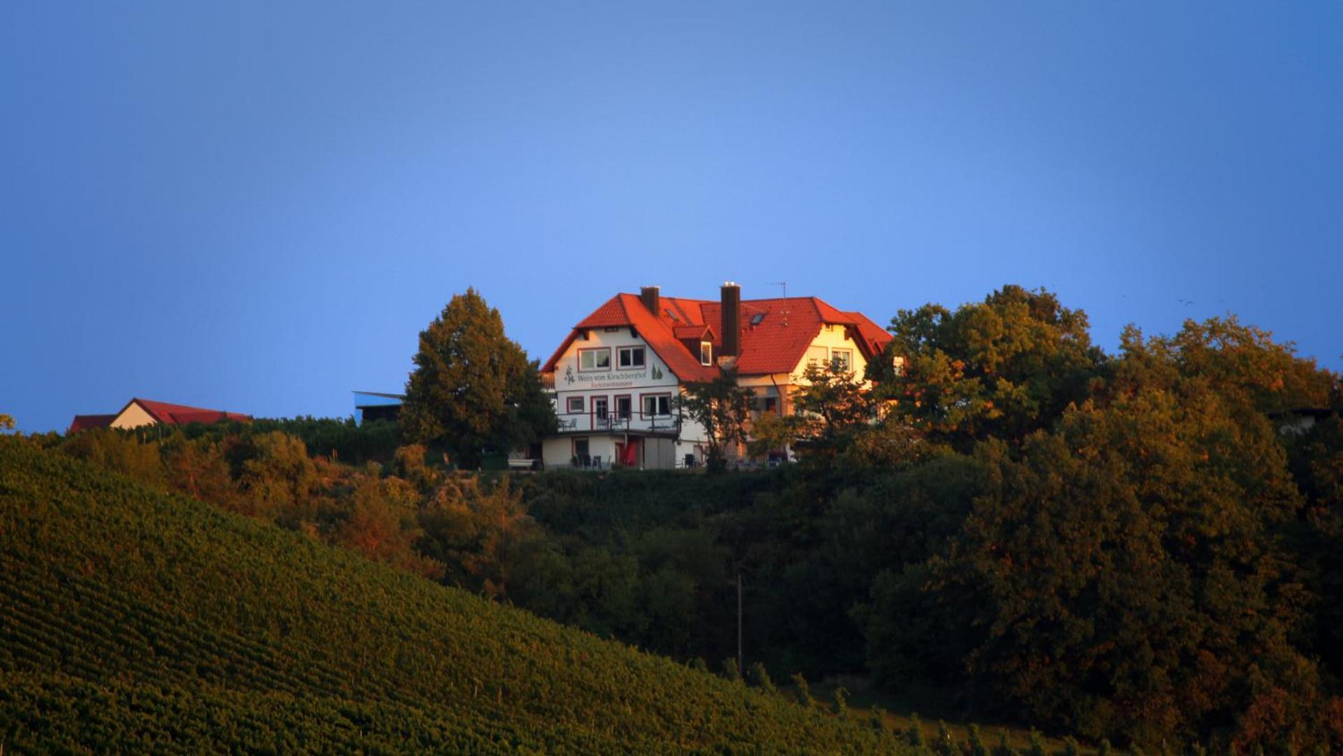 Kirschberghof Gaestehaus Und Weinverkauf Sommerhausen Extérieur photo